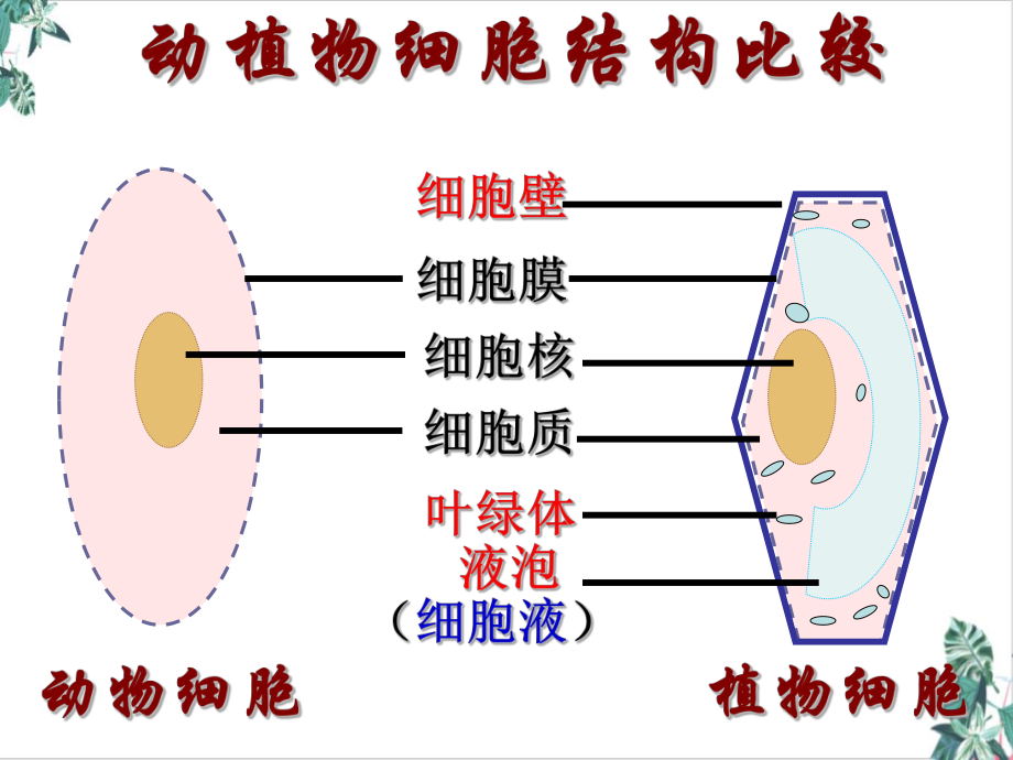 细胞的生活模板课件.ppt_第3页