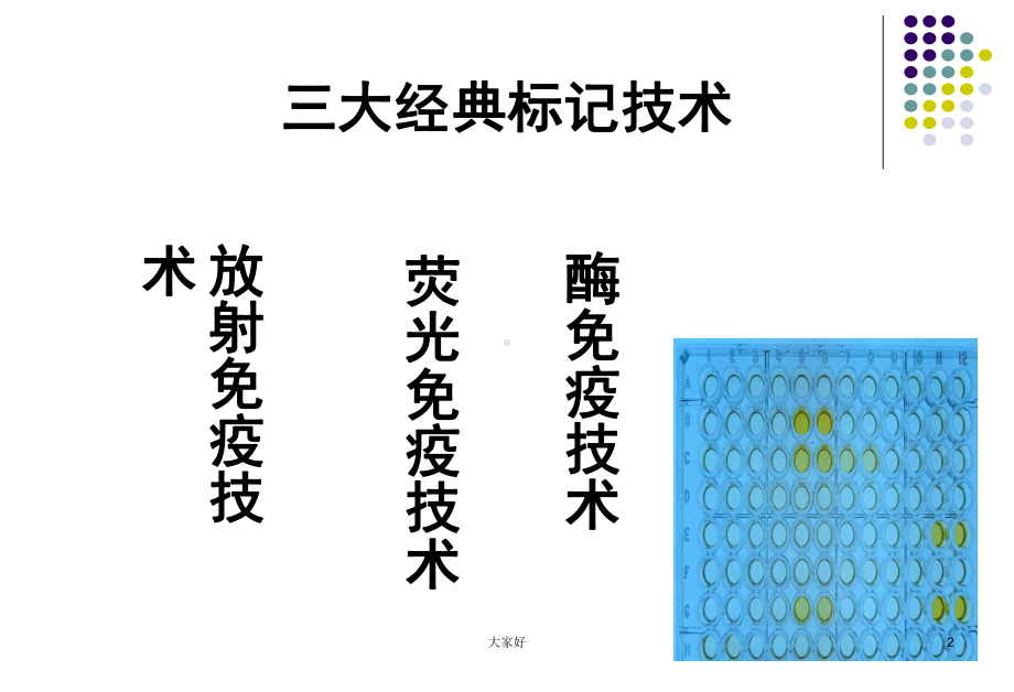 第9章-酶免疫试验-课件.ppt_第2页