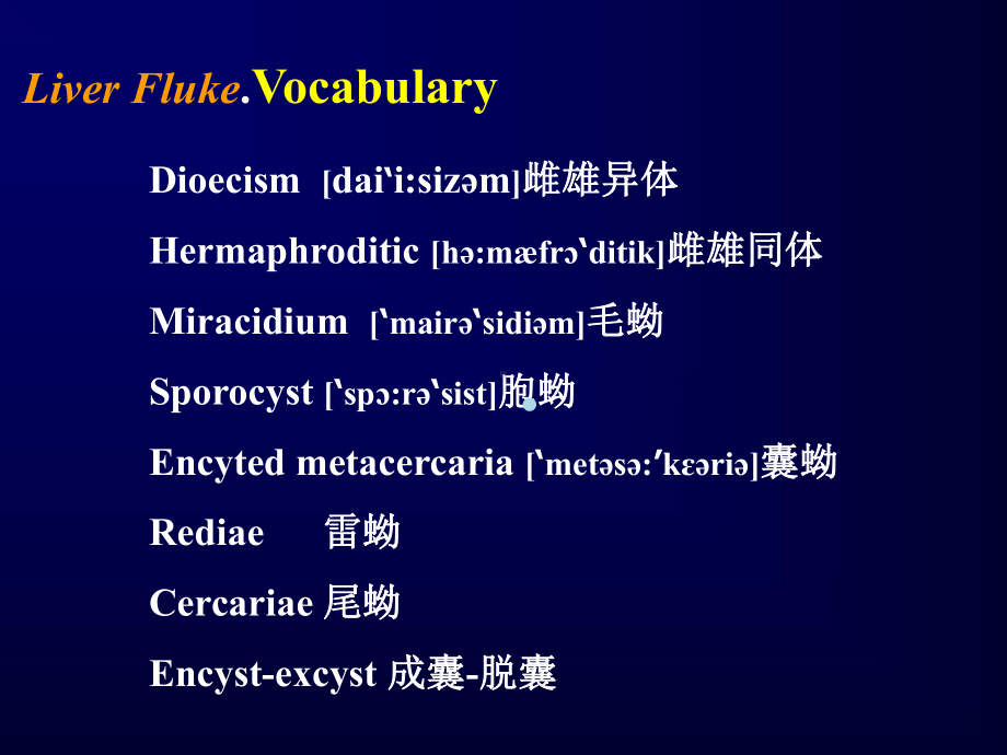 肝肺吸虫课件.ppt_第2页