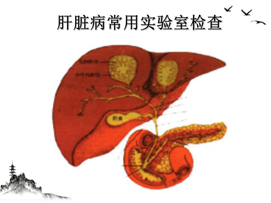 肝病实验室检查及止凝血功能检查授课课件.ppt_第3页