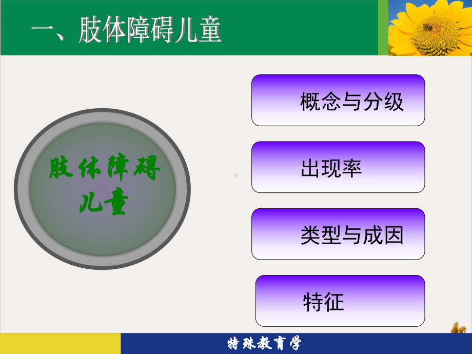 病弱儿童和自闭症儿童的教育学习环境课程教学策略与技术课件整理.pptx_第3页