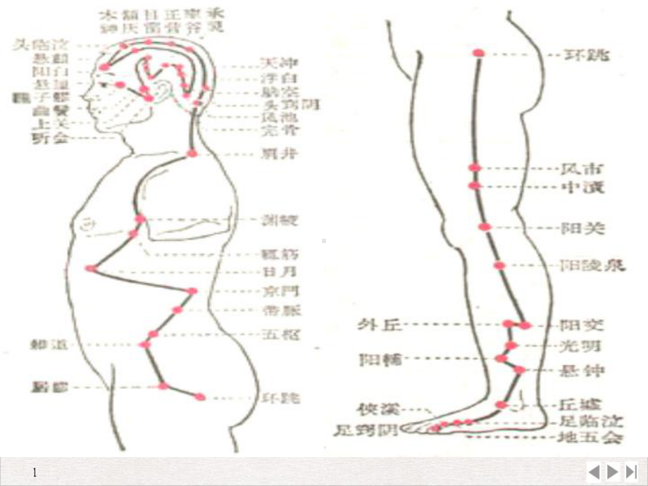 简易中医疗法标准课件.pptx_第3页