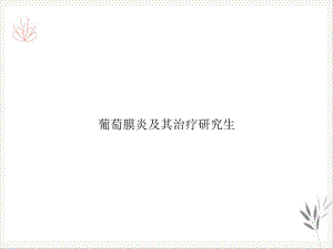 葡萄膜炎及其治疗研究生课件.ppt