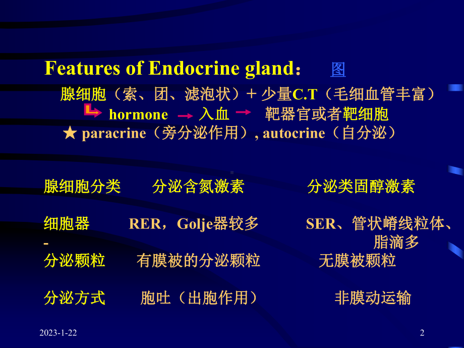 第十二章-内分泌系统90-课件.ppt_第2页