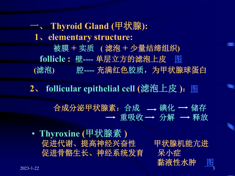 第十二章-内分泌系统90-课件.ppt_第3页