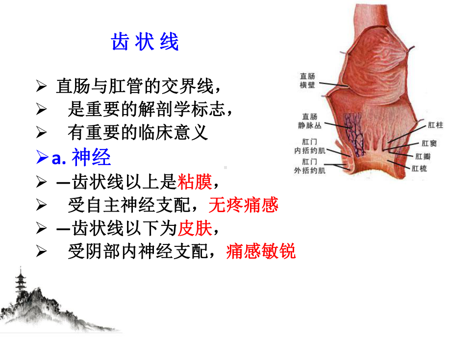 直肠肛管良性疾病课件整理.pptx_第3页