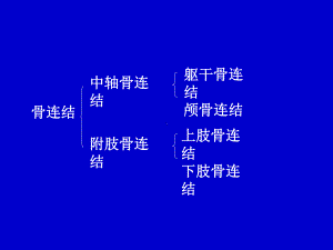 系统解剖学骨连接课件.ppt