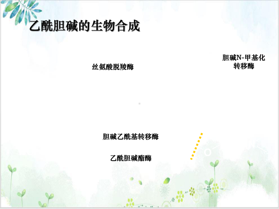 第三章外周神经系统药物优质课件.ppt_第2页