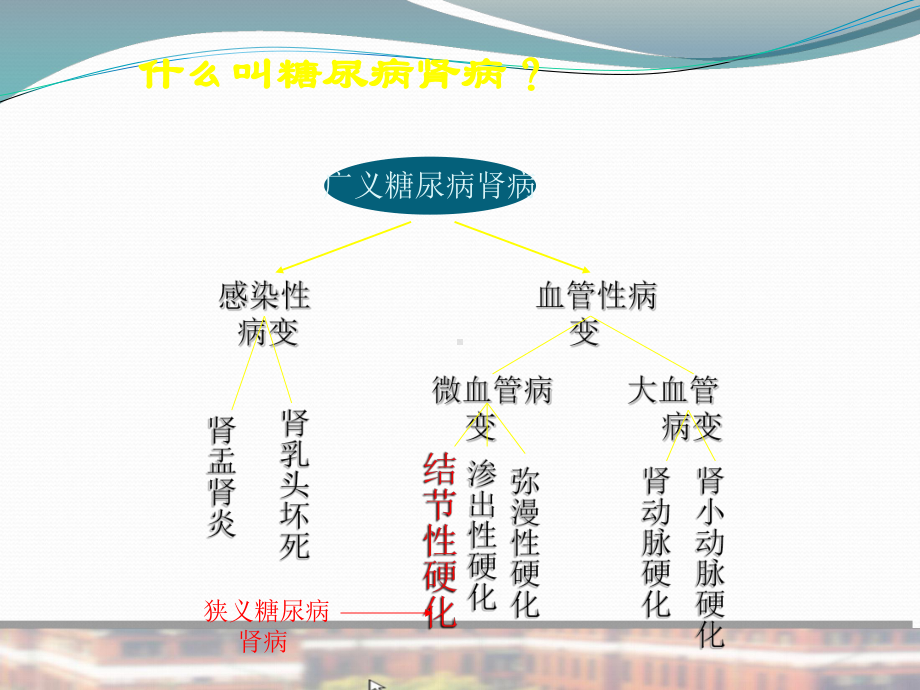 糖尿病肾病小讲课课件.ppt_第3页