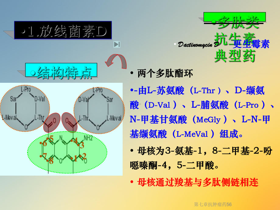 第七章抗肿瘤药56课件.ppt_第2页