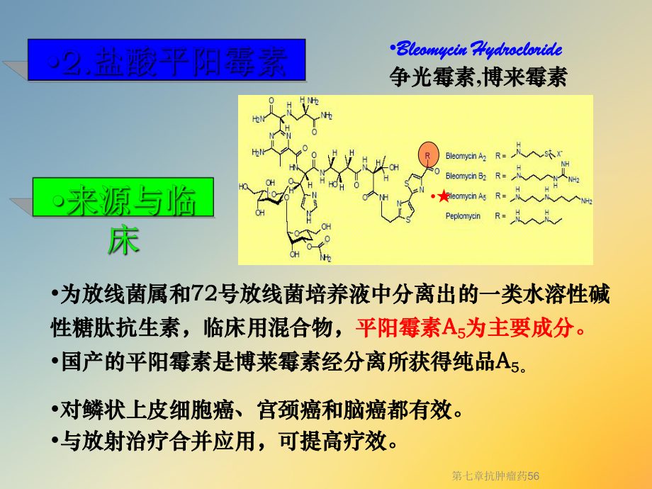 第七章抗肿瘤药56课件.ppt_第3页