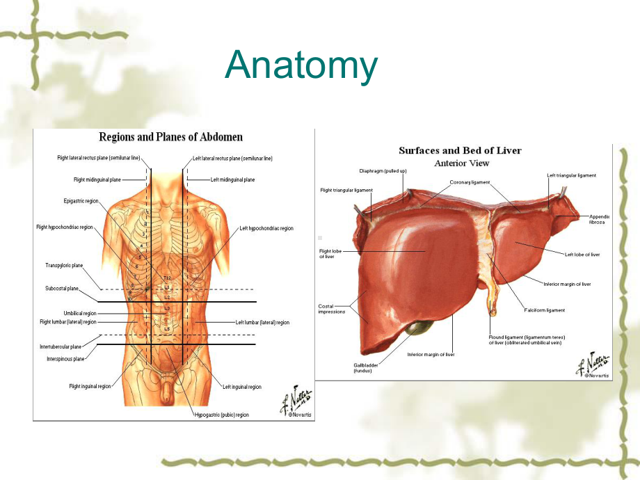 经皮穿肝胆道引流术PercutaneousTranshepatic课件.ppt_第2页