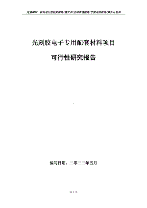 光刻胶电子专用配套材料项目可行性报告（写作模板）.doc