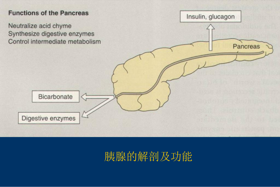 精选急性重型胰腺炎的诊断与治疗资料课件.ppt_第3页