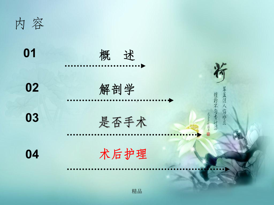 肝脾破裂的护理ppt课件.ppt_第2页