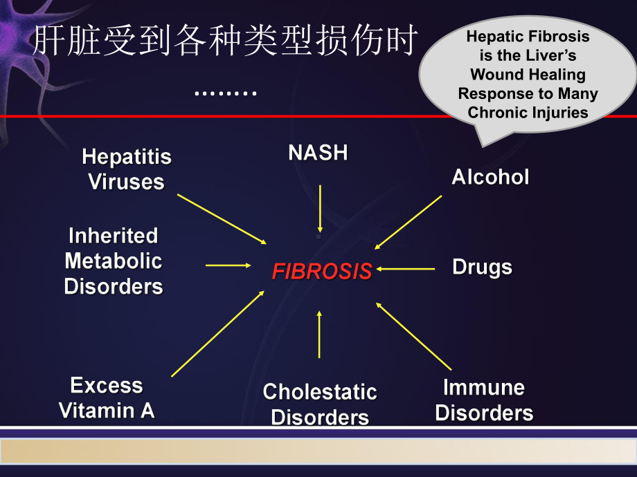 瞬时弹性成像技术诊断肝纤维化课件.ppt_第2页