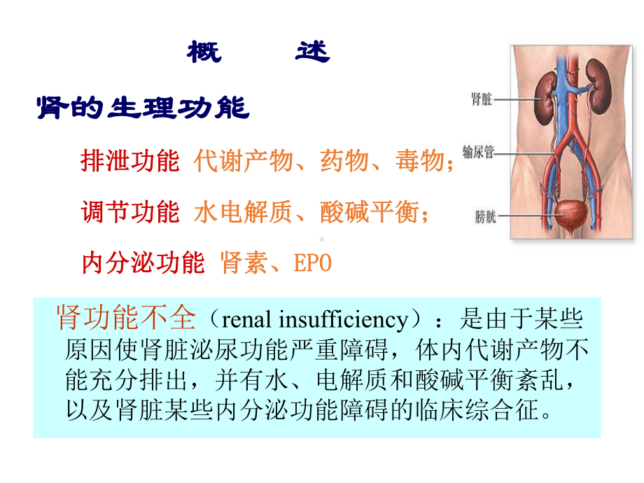 肾功能衰竭课件.pptx_第2页