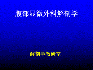 腹部显微外科解剖学课件.ppt