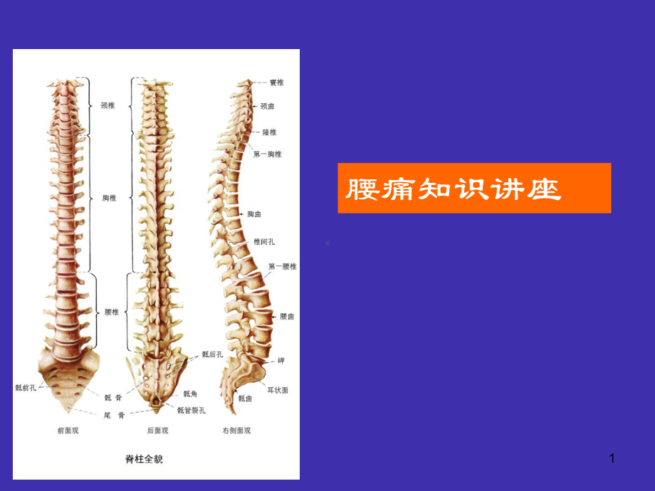 腰椎间盘突出症课件整理.ppt_第1页