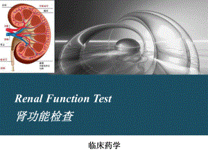 肾功能检查培训课件.ppt