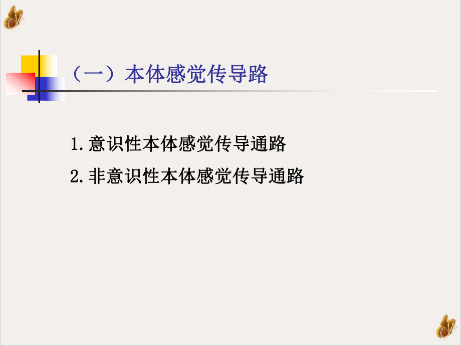 神经系统的传导通路资料课件1.pptx_第3页