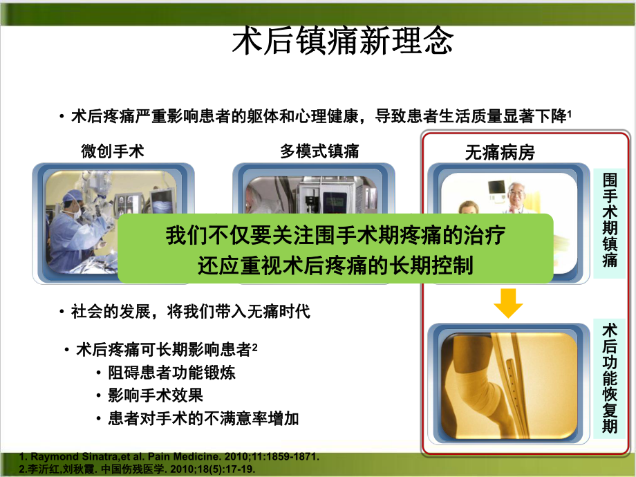 直击疼痛炎症示范课件.ppt_第3页