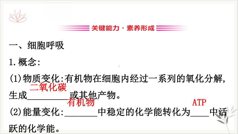 细胞呼吸的原理和应用细胞的能量供应和利用课件新教材.pptx_第3页