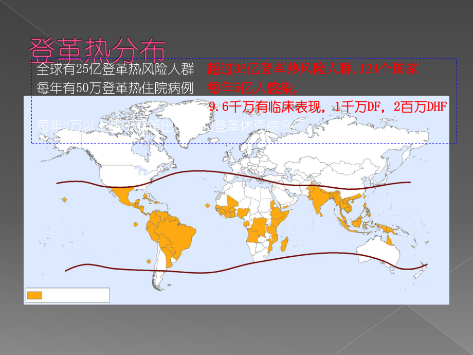 登革热基本知识课件.ppt_第2页