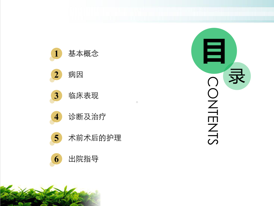 腹股沟斜疝的护理案例课件.ppt_第2页