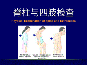 脊柱与四肢检查课件整理.ppt