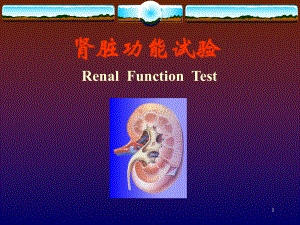 肾脏功能试验课件.ppt