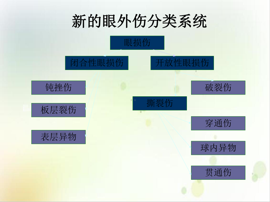 眼外伤与眼科急症处理培训课件.ppt_第3页