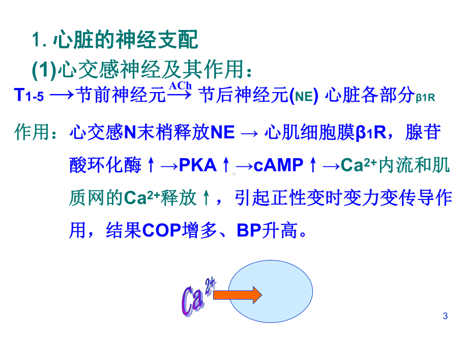 第九讲心血管活动的调节课件.ppt_第3页