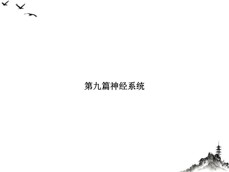 第九篇神经系统优质课件.ppt_第1页