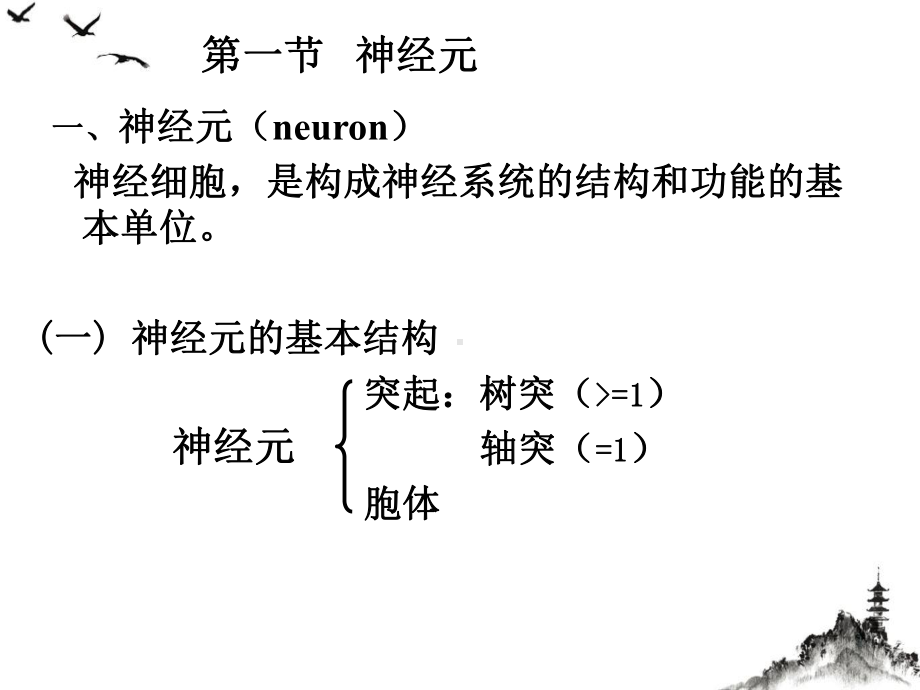 第九篇神经系统优质课件.ppt_第3页