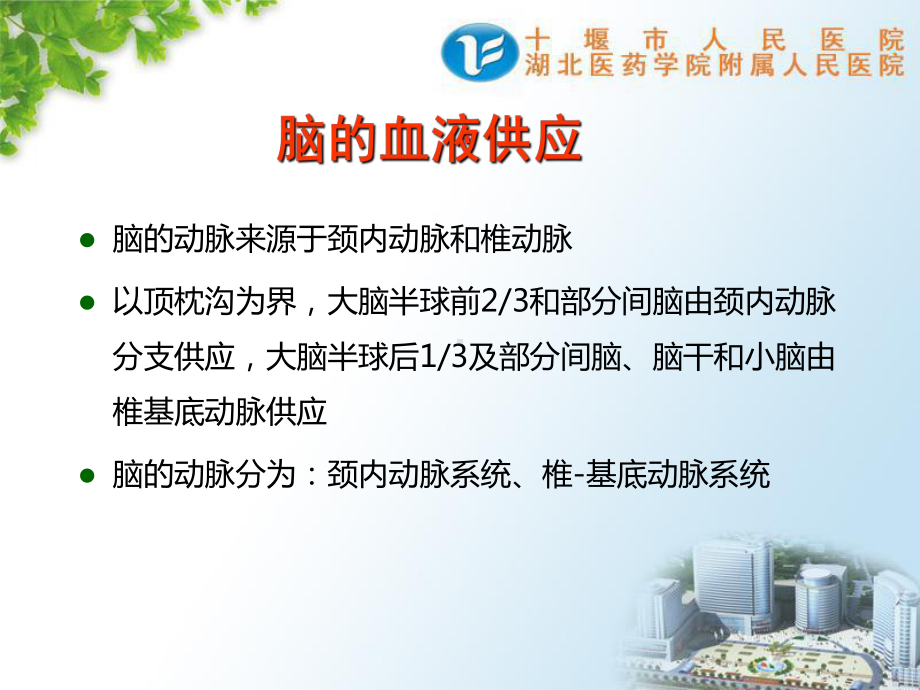 脑血管疾病资料课件.ppt_第3页