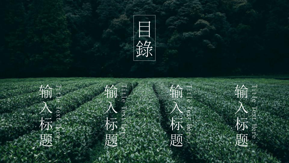 茶文化茶艺茶道模板课件.pptx_第2页