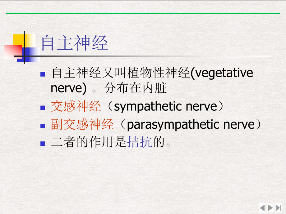 神经系统—神经系统解剖课件.pptx_第3页