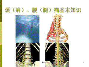 脊柱的职业健康问题课件.ppt