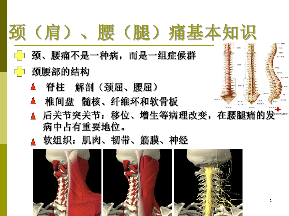 脊柱的职业健康问题课件.ppt_第2页