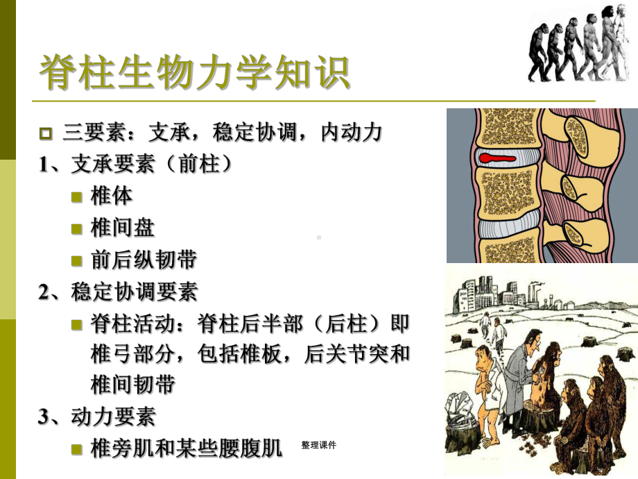 脊柱的职业健康问题课件.ppt_第3页