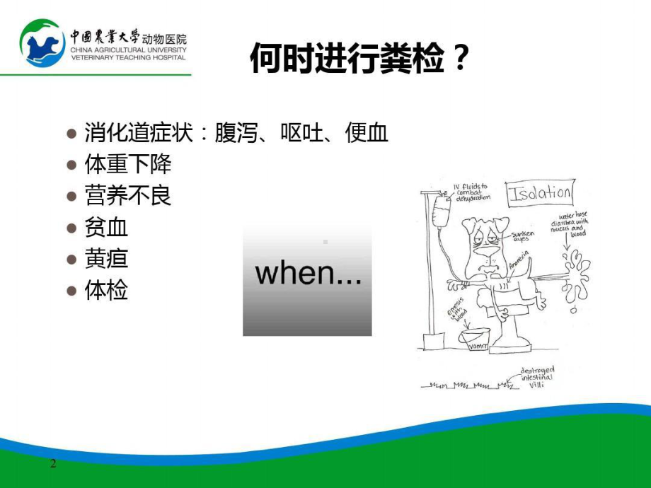 粪便检查-动物医学-宠物医生-兽医课件.ppt_第2页