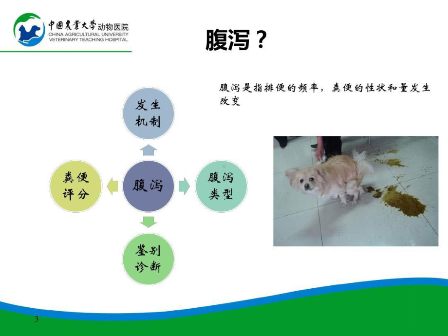 粪便检查-动物医学-宠物医生-兽医课件.ppt_第3页