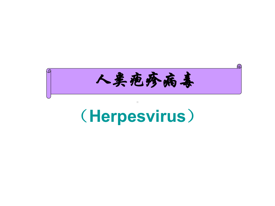 疱疹病毒完整版本课件.ppt_第2页