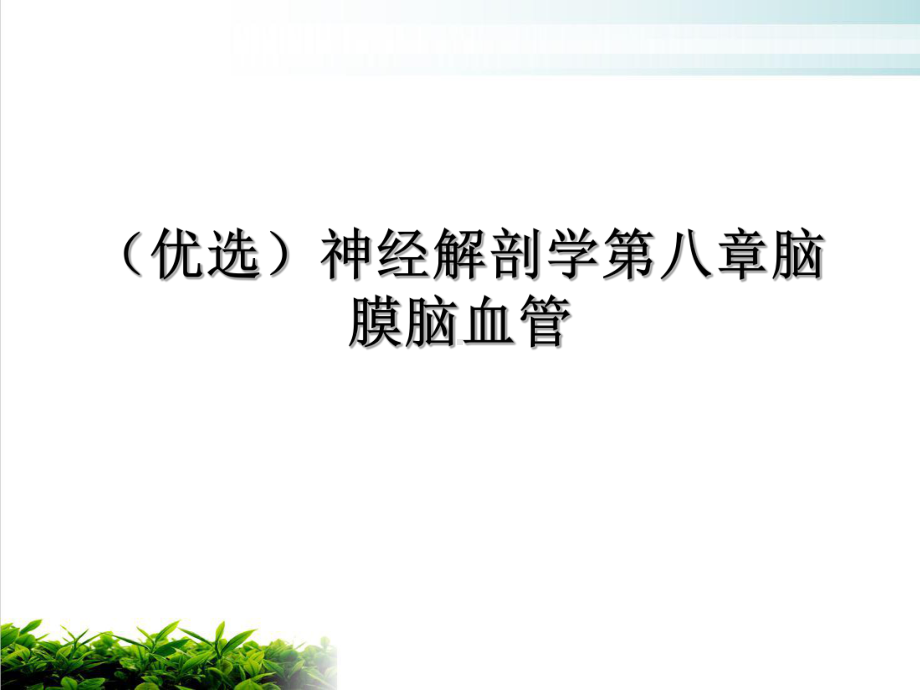 神经解剖学第八章脑膜脑血管示范课件.ppt_第2页