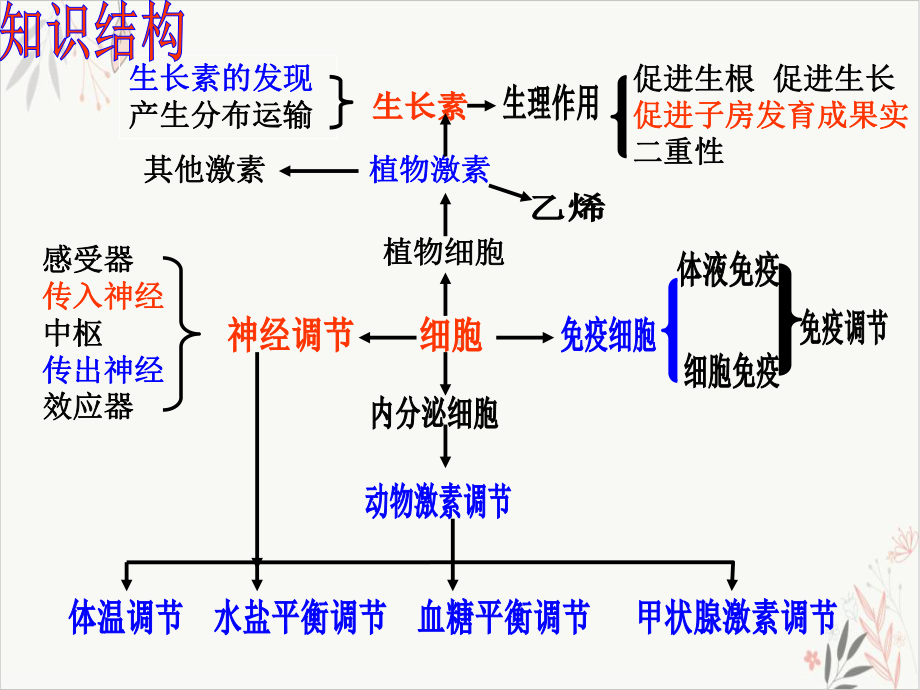 神经体液免疫调节PPT课件.pptx_第1页