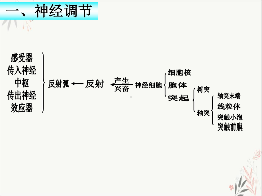 神经体液免疫调节PPT课件.pptx_第2页