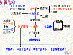 神经体液免疫调节PPT课件.pptx