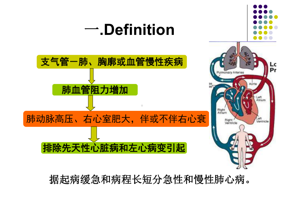 肺血管阻力增加支气管课件.ppt_第3页