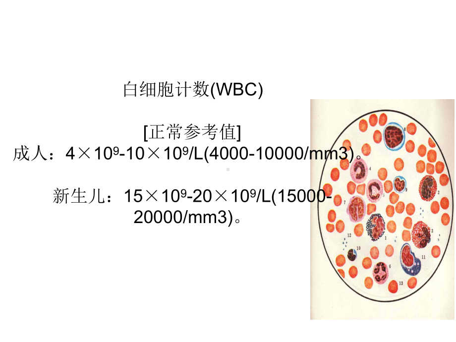 血液常规检验项目及临床意义课件(同名158).ppt_第3页